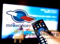 Установка, обмен и ремонт Триколор ТВ в Пушкинском районе